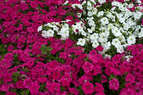 What are the top considerations for a UK kitchen remodel?